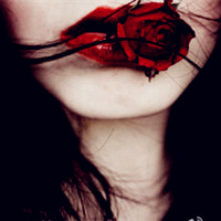 艳红似血的玫瑰花送给我的爱人,激情似火吧