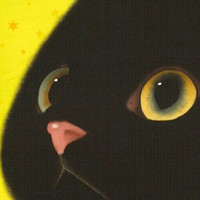 卡通小猫的头像图片,黑色,红色,黄色,有点搞笑的