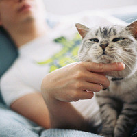 喜欢小猫的欧美男生头像，抱着小猫、拿着小猫和小猫睡在一起的