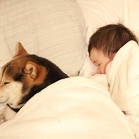 一起睡觉,一起玩和小狗在一起的日子,超萌小孩和狗的头像图片