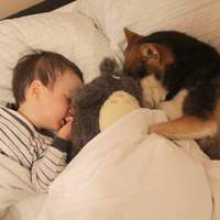 一起睡觉,一起玩和小狗在一起的日子,超萌小孩和狗的头像图片
