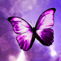 唯美蝴蝶头像,qq蝴蝶头像图片大全,颜色美丽好看