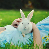 可爱小白兔图片头像,小白兔头像图片 真可爱