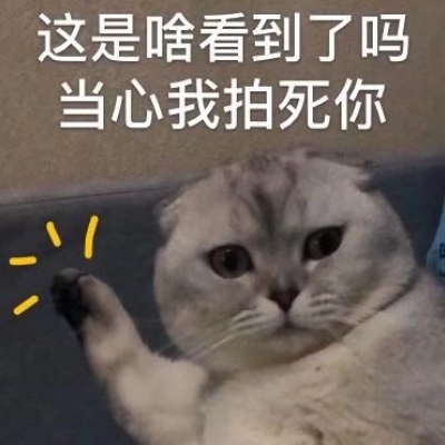 可爱小猫带字头像图片，我是不是你最爱的小猫咪