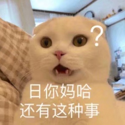 可爱小猫带字头像图片，我是不是你最爱的小猫咪