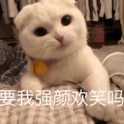 可爱小猫带字头像图片，我是不是你最爱的小猫咪