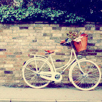 记忆时光里的小单车,带着我们满满的爱