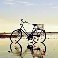 记忆时光里的小单车,带着我们满满的爱