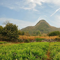 旅游风光摄影美景山地秋色,胡杨林QQ头像图片,色彩缤纷,秋天来了