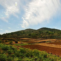 旅游风光摄影美景山地秋色,胡杨林QQ头像图片,色彩缤纷,秋天来了