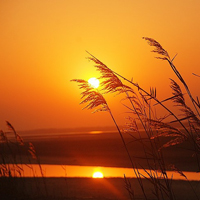 个性夕阳风景头像 夕阳西下美景,宁静的黄昏,美丽的晚霞