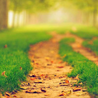 美如画的唯美秋季林间小径风景头像,梦中的小路