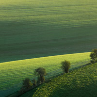 无边无际的唯美草原风景头像,天工织就的绿色巨毯真美