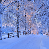 好看微信冰雪风景头像图片,大雪后的美景图片