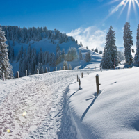 冰雪风景头像