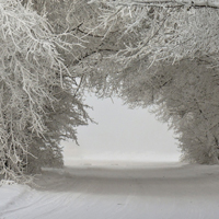 好看微信冰雪风景头像图片,大雪后的美景图片