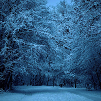 好看微信冰雪风景头像图片,大雪后的美景图片