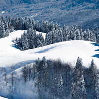 冬季冰天雪地唯美头像图片,寒冷的同时感到温暖