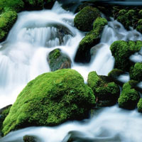 绿色风景头像,唯美绿色山间瀑布风景图片下载