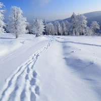 漂亮的雪景,天超来越冷了提前分享感觉一下白雪吧