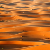 关于撒哈拉沙漠风景,适合微信的头像