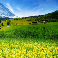瑞士风景图片头像,漂亮的油菜花,迷人的别墅吧