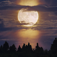 唯美月色风景头像图片,圆圆的,大大的月亮真美