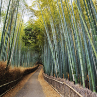 自然风景摄影微信头像,大自然美丽风景图片