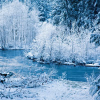 雪景的头像,唯美雪景图片,给树木披上了银装