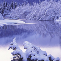 雪景的头像,唯美雪景图片,给树木披上了银装