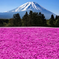 日本富士山风景头像,远处的山感觉在眼前一样