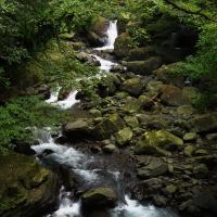 千万不要错过最美的风景,山水,森林美极了