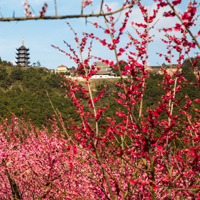 江苏张家港香山风景区,好看的风景头像