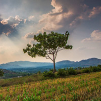 田园美丽的风景,宛如仙境的风景头像图片