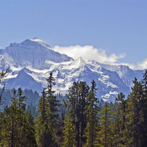 漂亮的风景微信头像，瑞士少女峰是不是非常的霸气呢