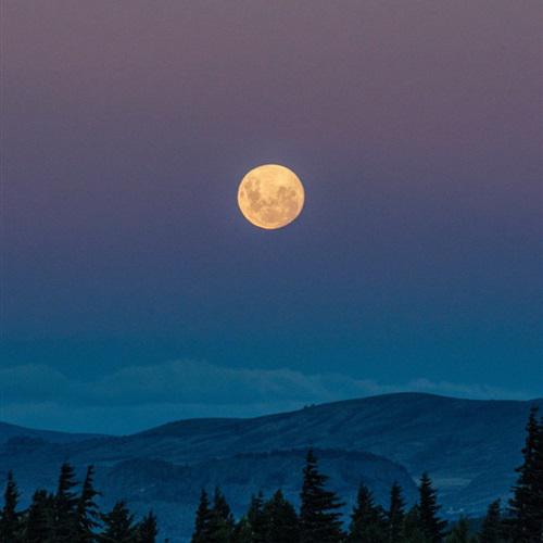 美丽的夜晚风景微信头像，明亮皎洁的月亮美极了