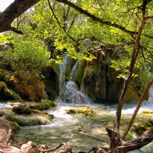 绿色清新普利特维采瀑布的风景微信头像图片