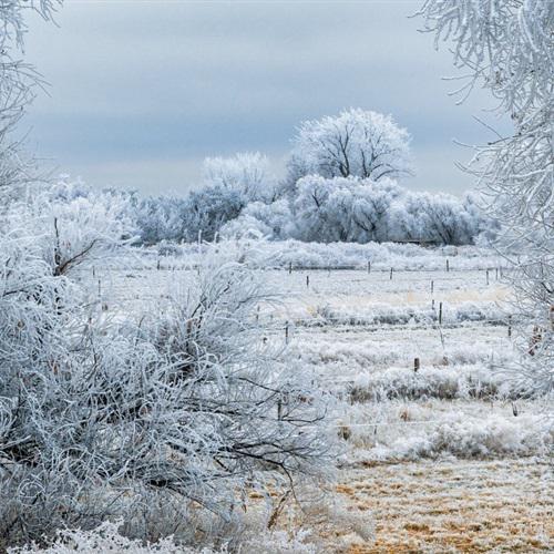 特别好看风景头像，最美雪景适合冬天的微信头像图片