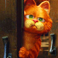 最有意思搞笑加菲猫头像图片大全,动漫角色众多观众都喜爱它