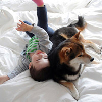 小孩子和动物在一起的搞笑头像图片,小孩和小狗头像,抱着小狗的