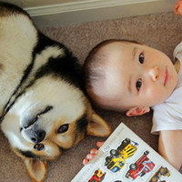 小孩子和动物在一起的搞笑头像图片,小孩和小狗头像,抱着小狗的