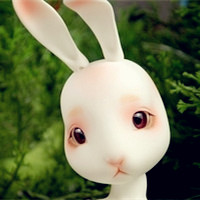可爱的玛丽莲萌兔头像,大家快来看萌兔子