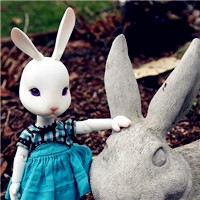 可爱的玛丽莲萌兔头像,大家快来看萌兔子