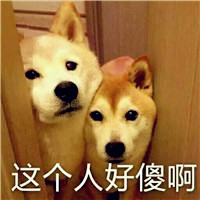 狗狗头像图片搞笑 二狗子全部是带字的图片