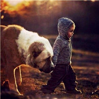 小男孩和狗的头像,人与动物之间的情真的很难得了