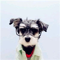 搞笑动物情侣头像,最喜欢前两张狗狗戴眼镜的