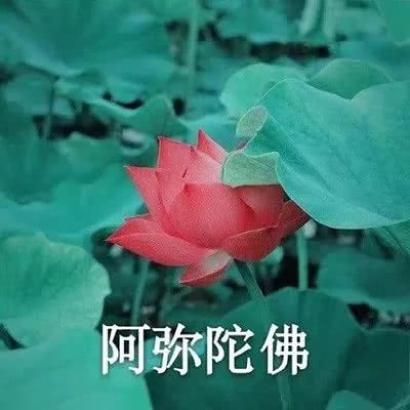 个性幽默搞笑微信头像图片逗比，又丑又搞笑笑死人