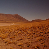 漂亮的沙漠,沙漠荒芜之地风景头像图片大全