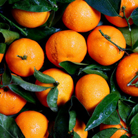 好吃的柑橘图片,微信头像水果类的