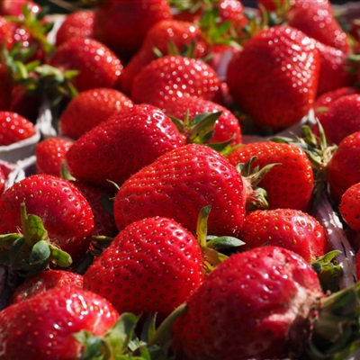 草莓微信头像 鲜红诱人的草莓图片
